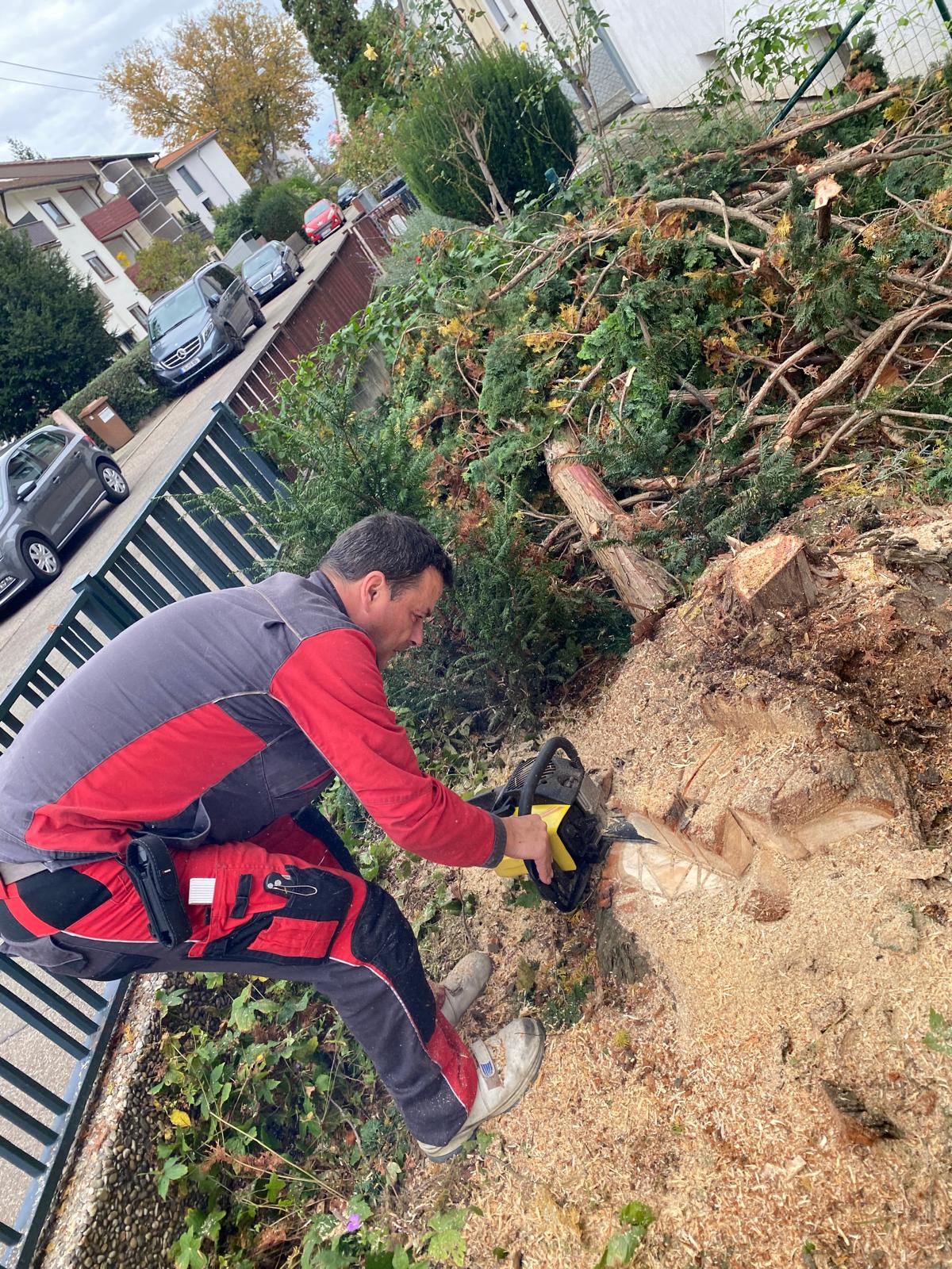 Reparaturen rund um Haus & Garten